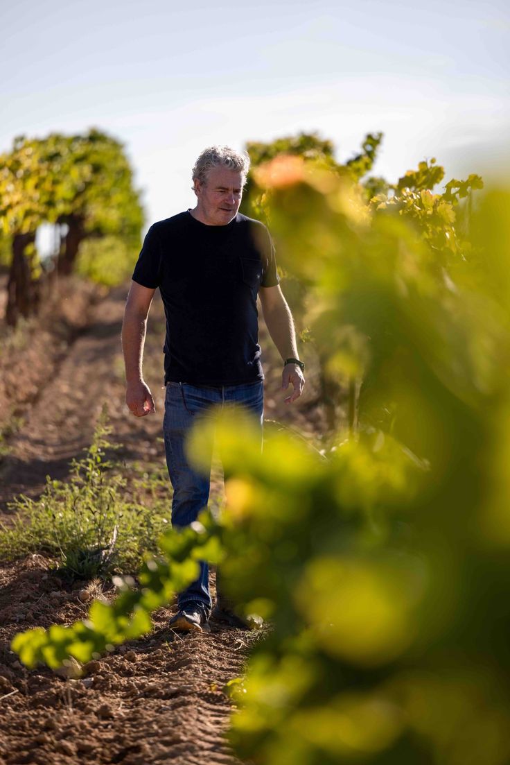 Retrato natural de un productor de vino en contexto 7
