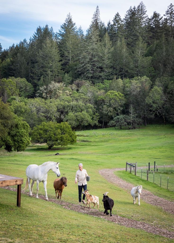 Vida de campo, personas y animales en un entorno natural 1