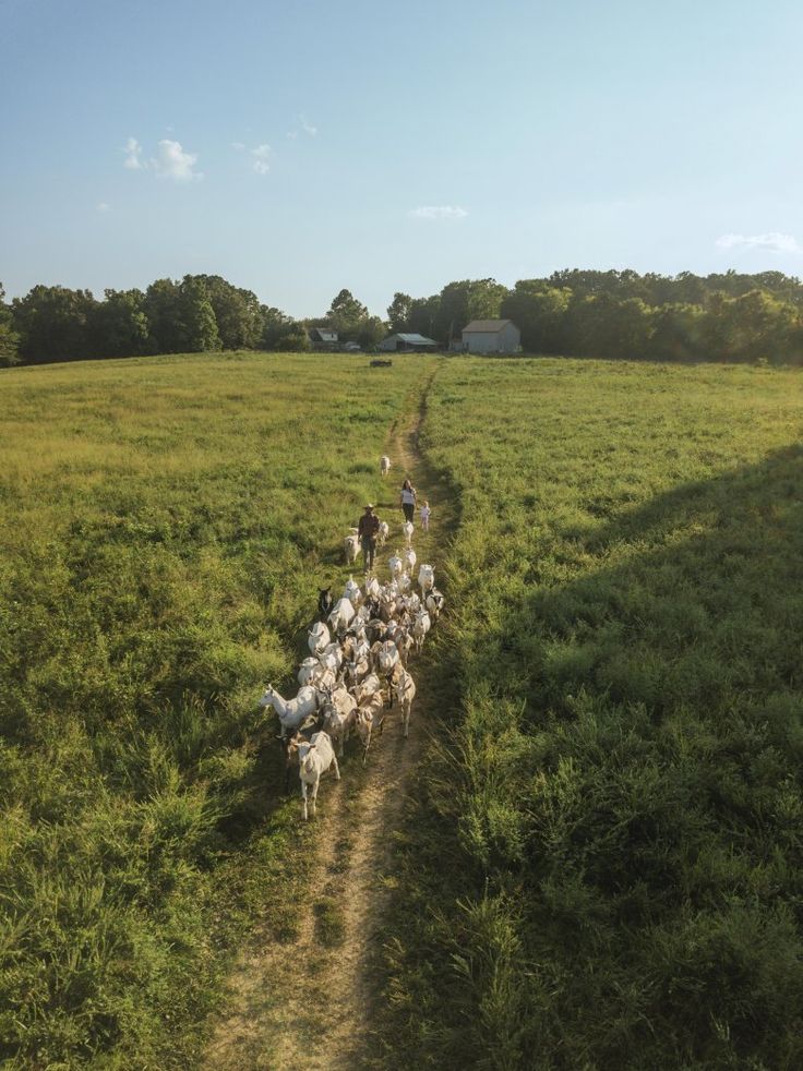 Vida de campo, personas y animales en un entorno natural 2