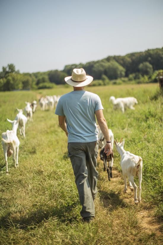 Vida de campo, personas y animales en un entorno natural 3